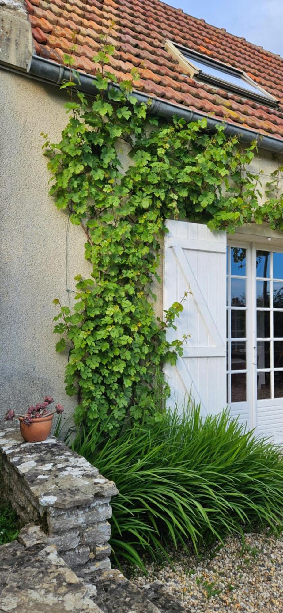 Saint-Côme-de-FresnéLa Petite Chouette别墅 外观 照片